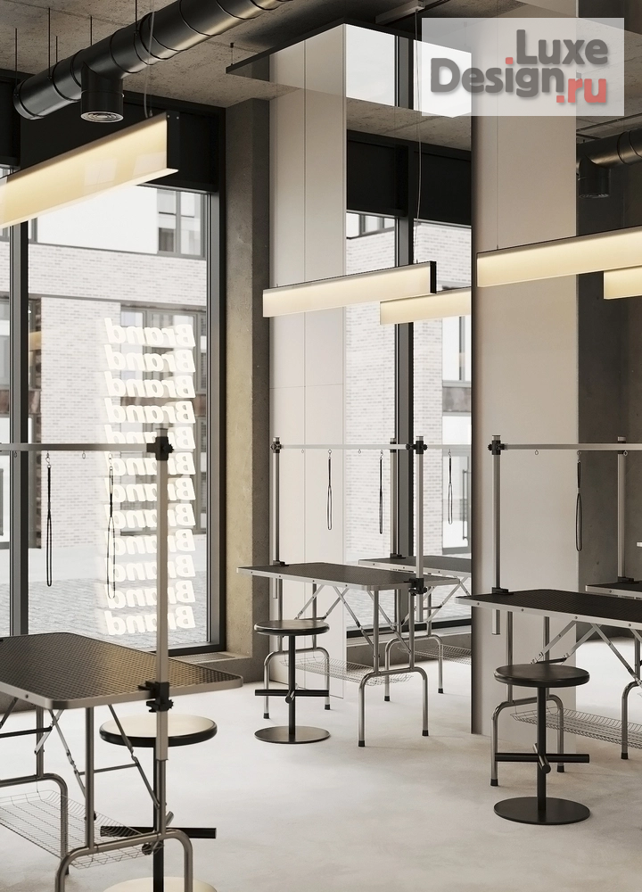 Дизайн интерьера салона красоты "ГРУМИНГ-САЛОН" (фото 10)