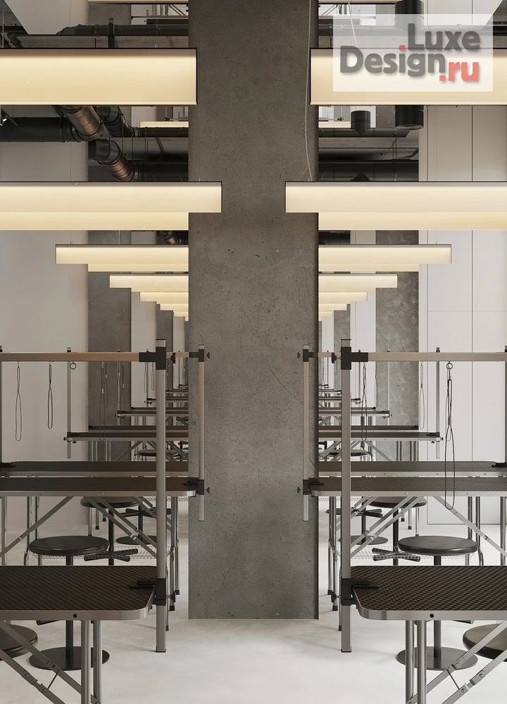 Дизайн интерьера салона красоты "ГРУМИНГ-САЛОН" (фото 8)